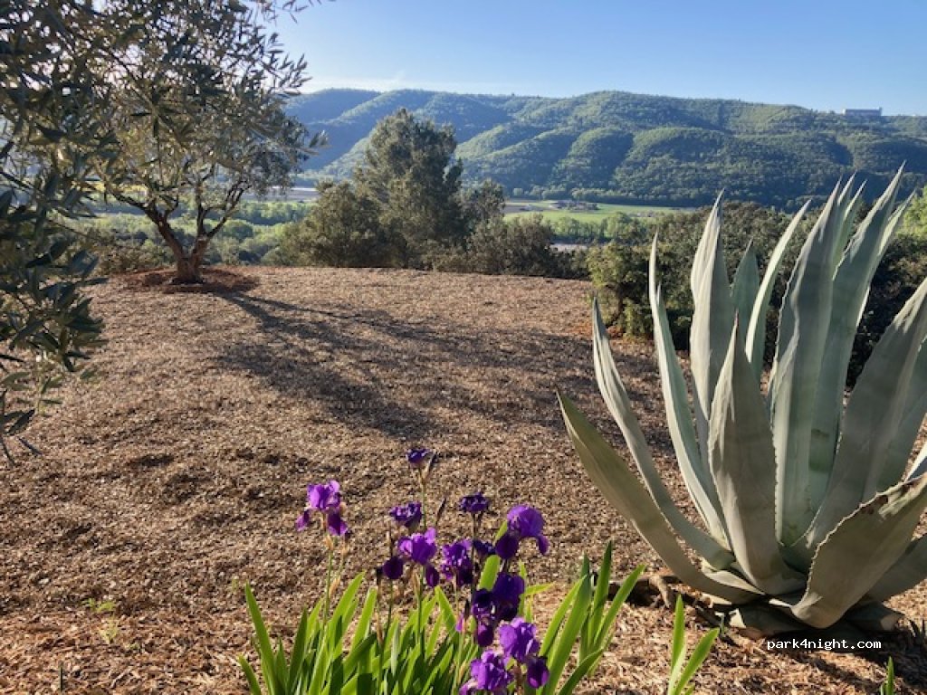 La Babassière du Jas Ricavy — foto