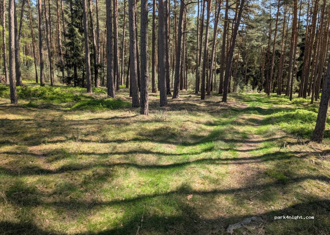 (29413) Waddekath - Dorfstrasse 15 — foto