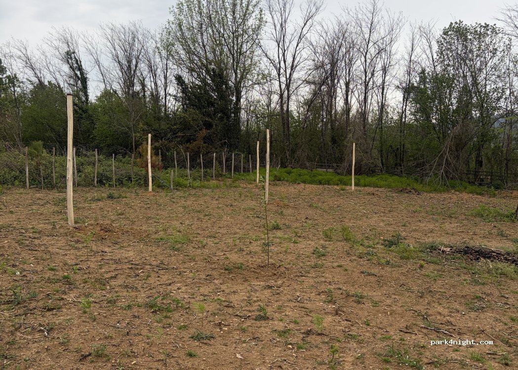 Two Oaks Campsite — foto 2