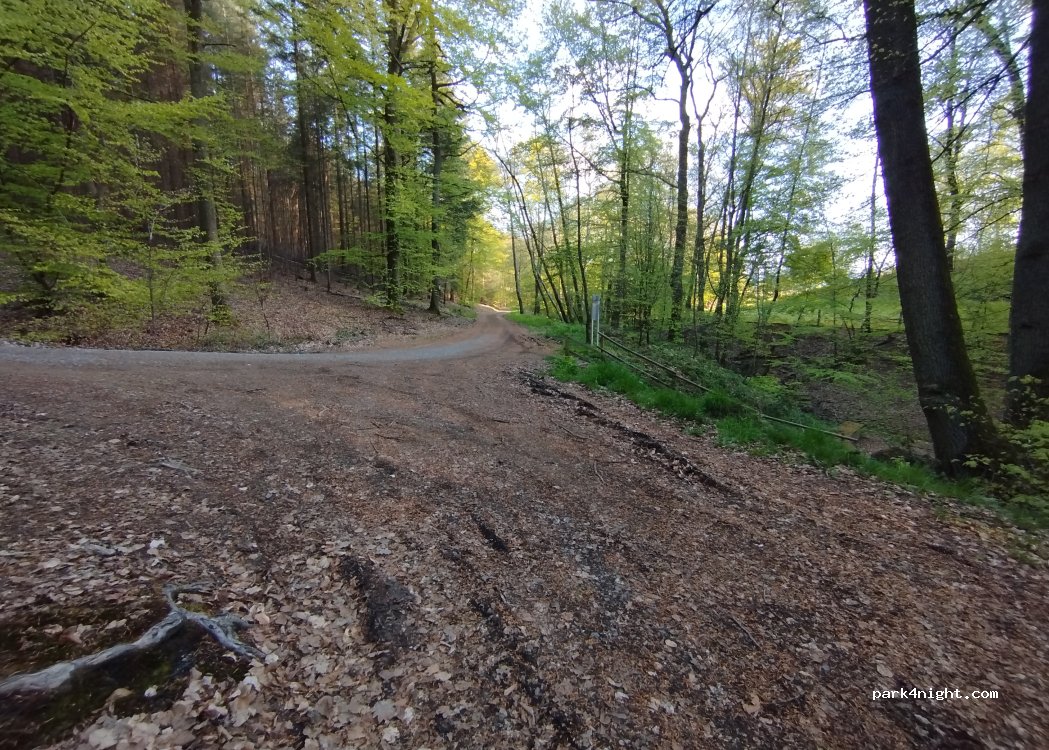 (66877) Ramstein-Miesenbach - Unnamed road — foto