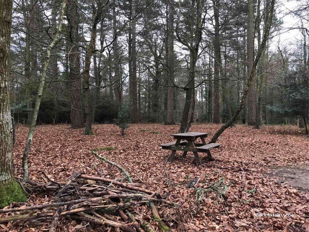 Setthorns Campsite — foto