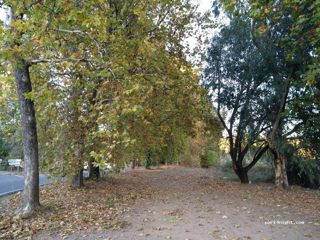(41450) Constantina - SE-163 — foto 2