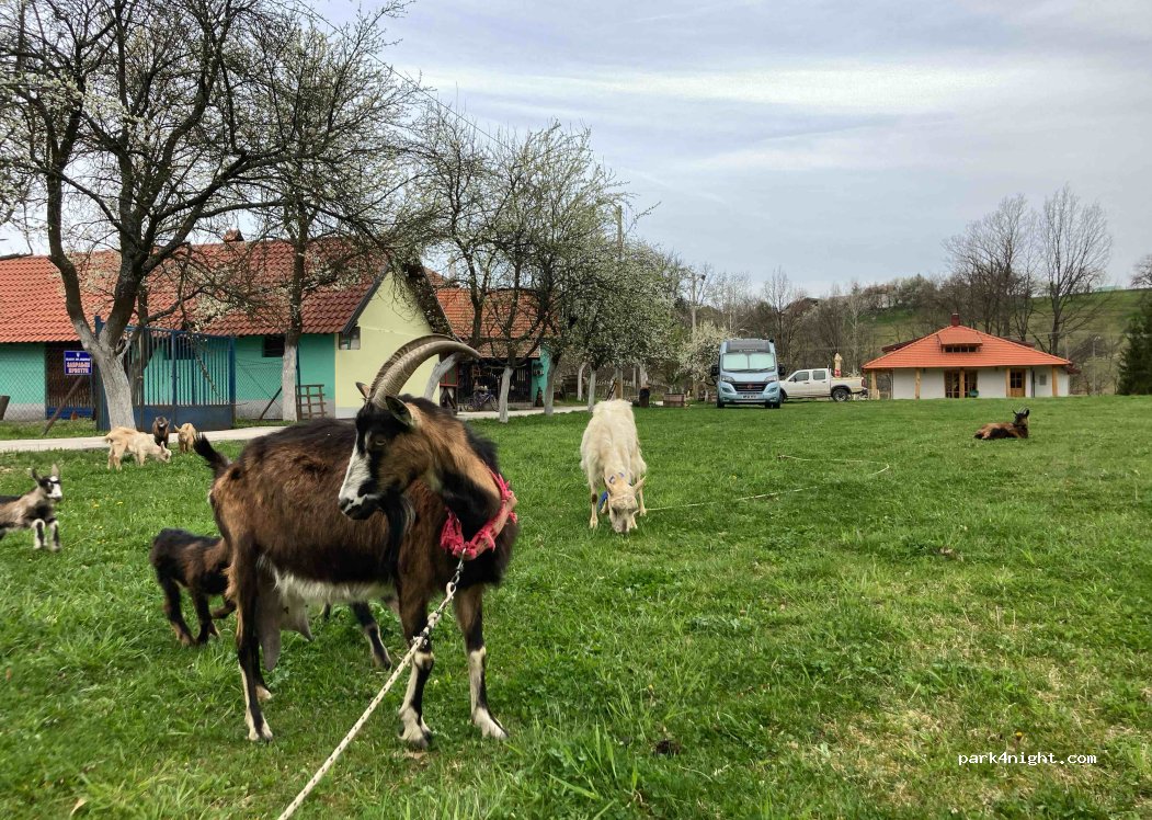 Camper stop Tatinac-Sevojno — foto 2
