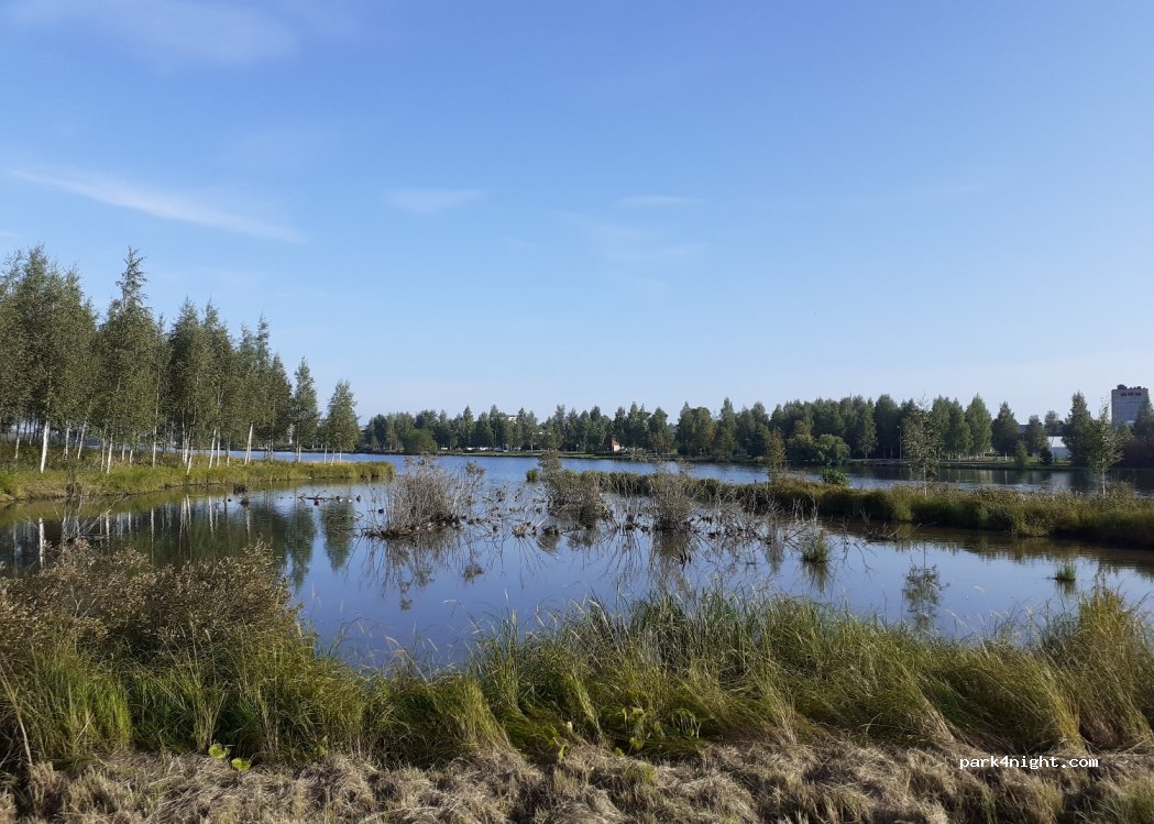 (953 36)  - Krannikatu — foto 2