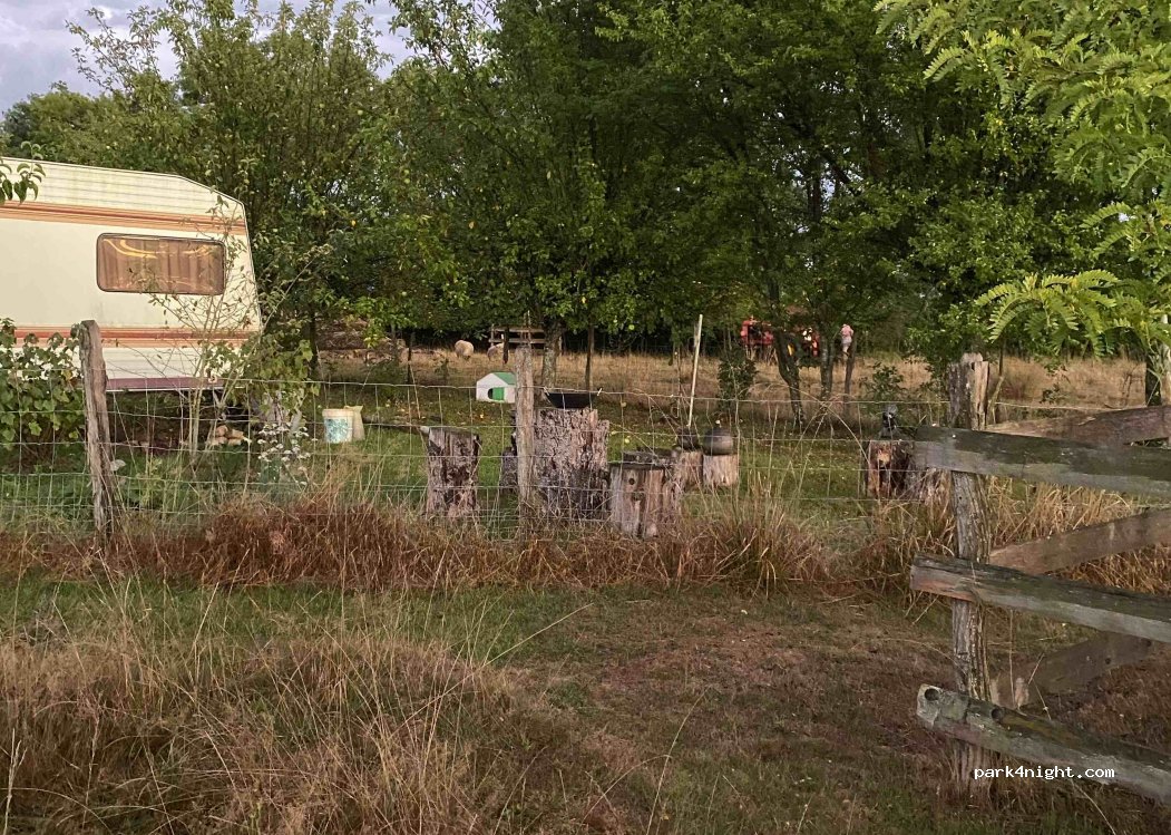 Le jardin sans secrets — foto 3