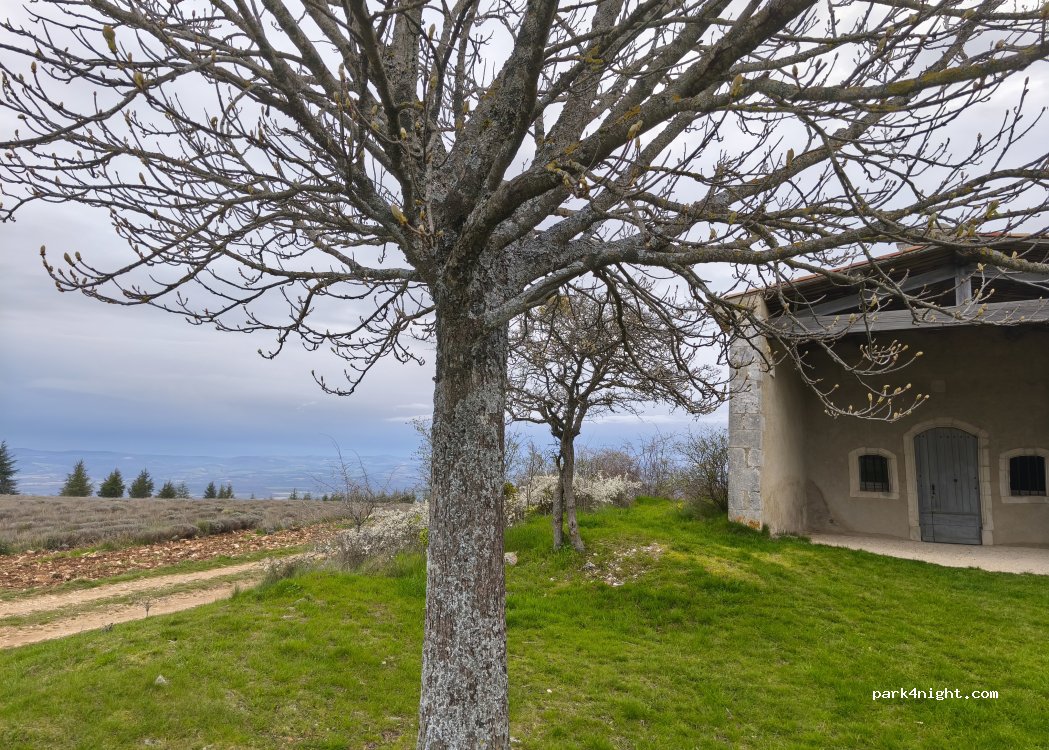 (84400) Lagarde-d'Apt - Notre-Dame de Lamaron — foto 5