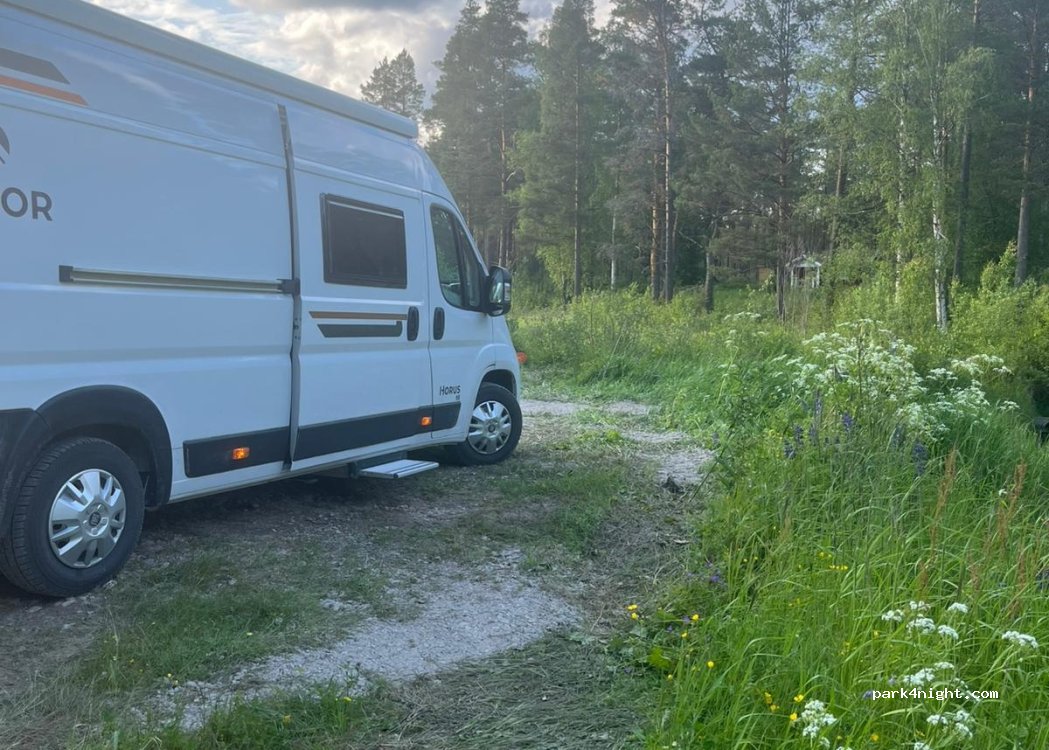 (793 97) Lundbjörken - — foto 3