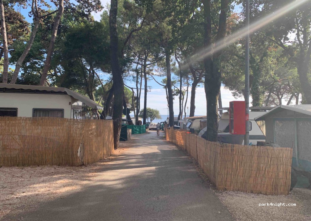 Camp Kastanija — foto 3