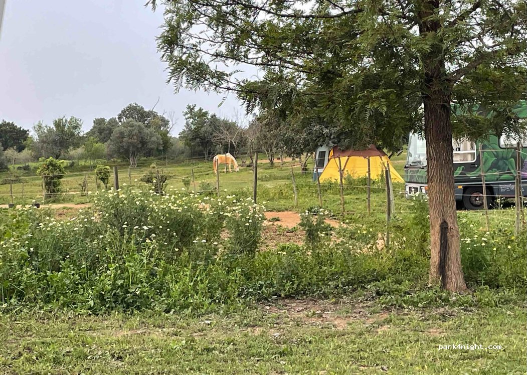 (8700-061) Moncarapacho - Unnamed Road — foto 4