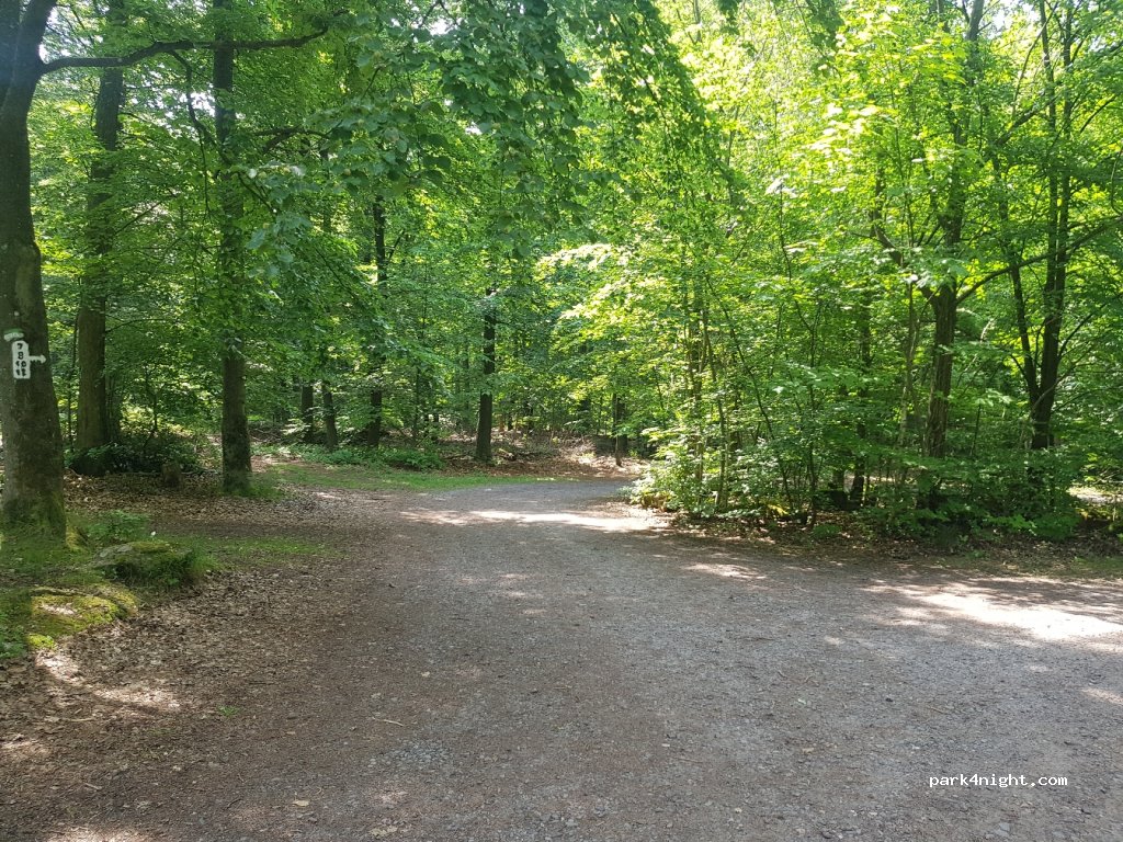 (67098) Bad Dürkheim - L518, Lindemannsruhe — foto