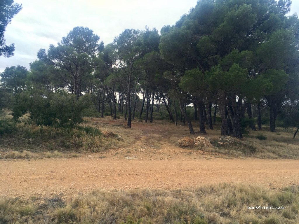 (50540) Borja - Unnamed Road — foto 2