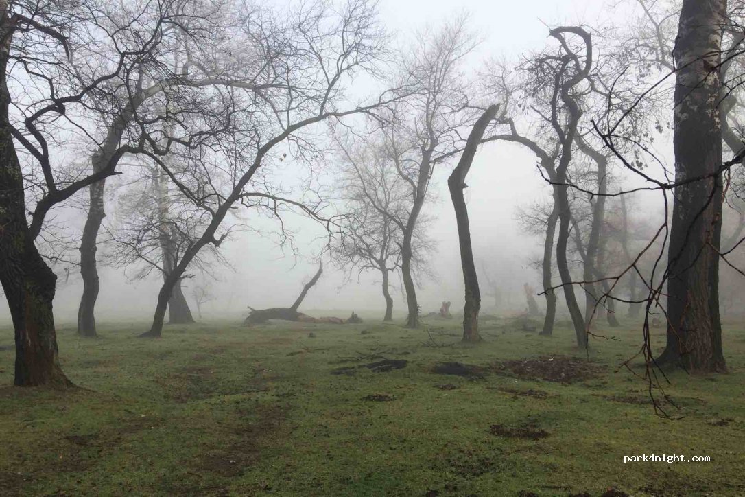 () Rustavi - Unnamed Road — foto