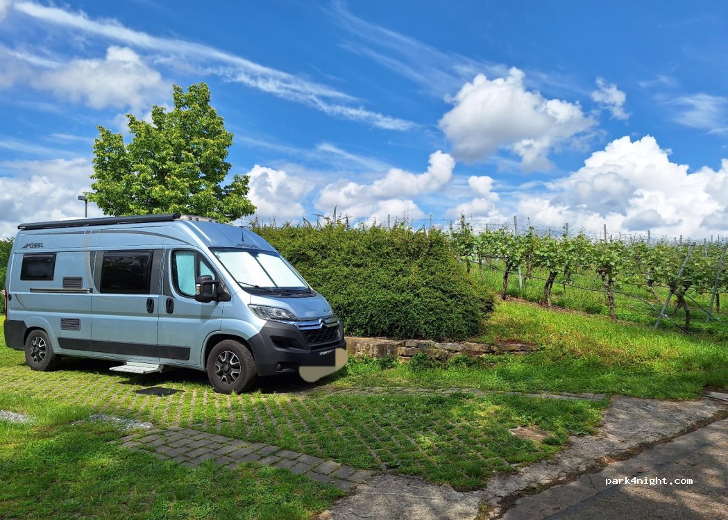 Müllers Weingut & Weinstube — foto 4