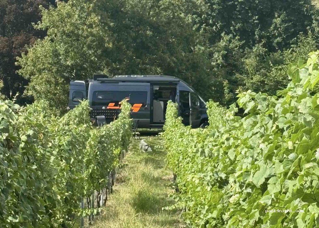 Müllers Weingut & Weinstube — foto 5