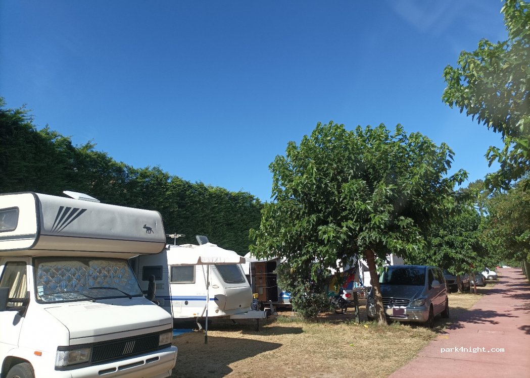 Sereia da Gelfa — foto 3