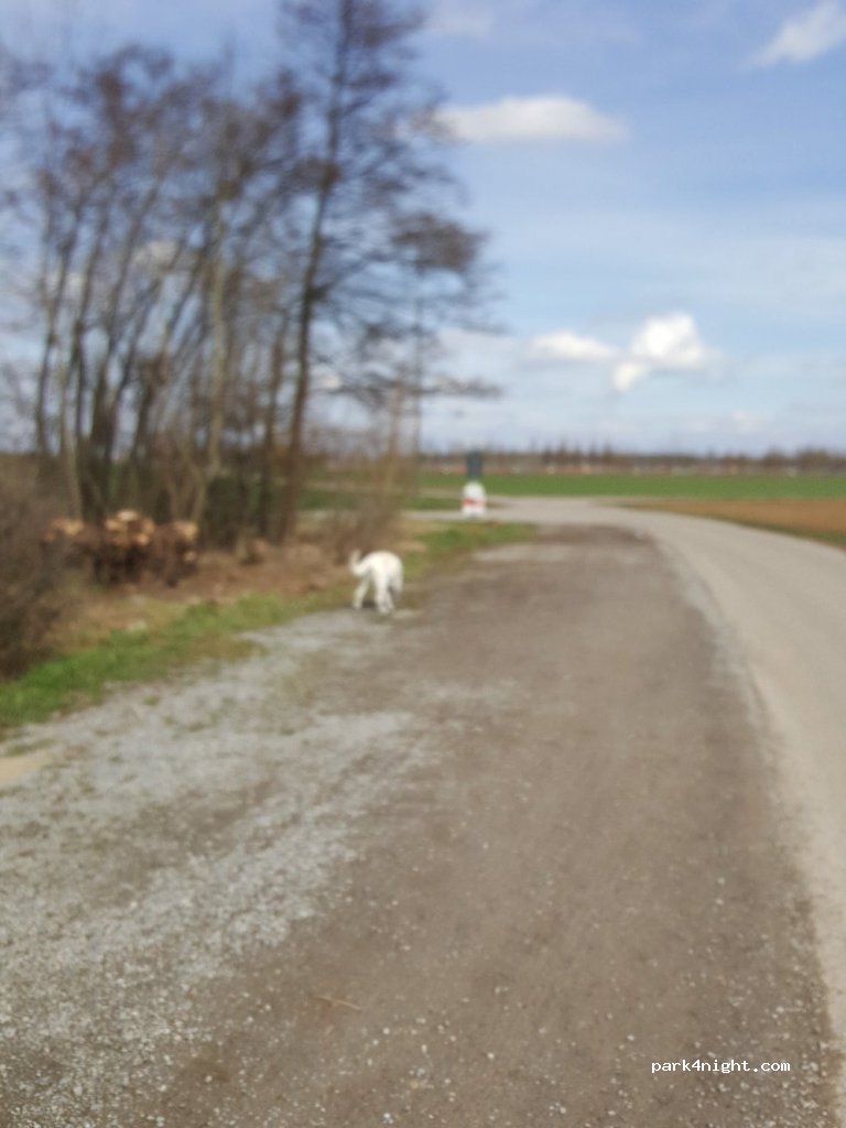 (74321) Bietigheim-Bissingen - Kelterstraße — foto