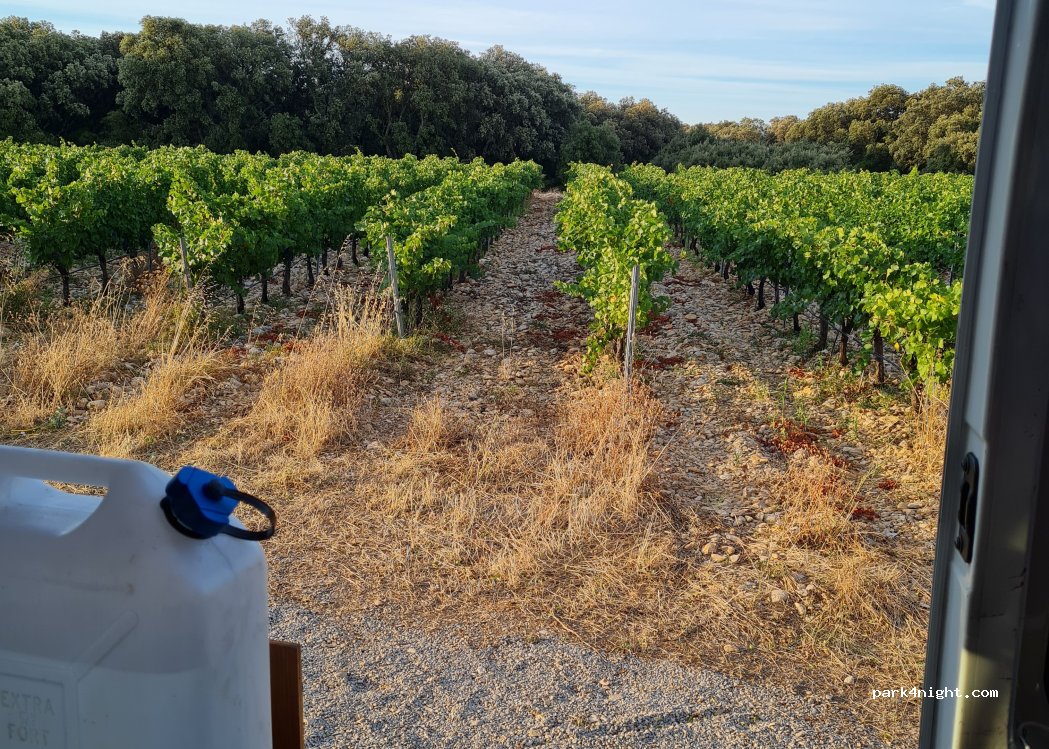 (84150) Violes - Unnamed Road — foto 5