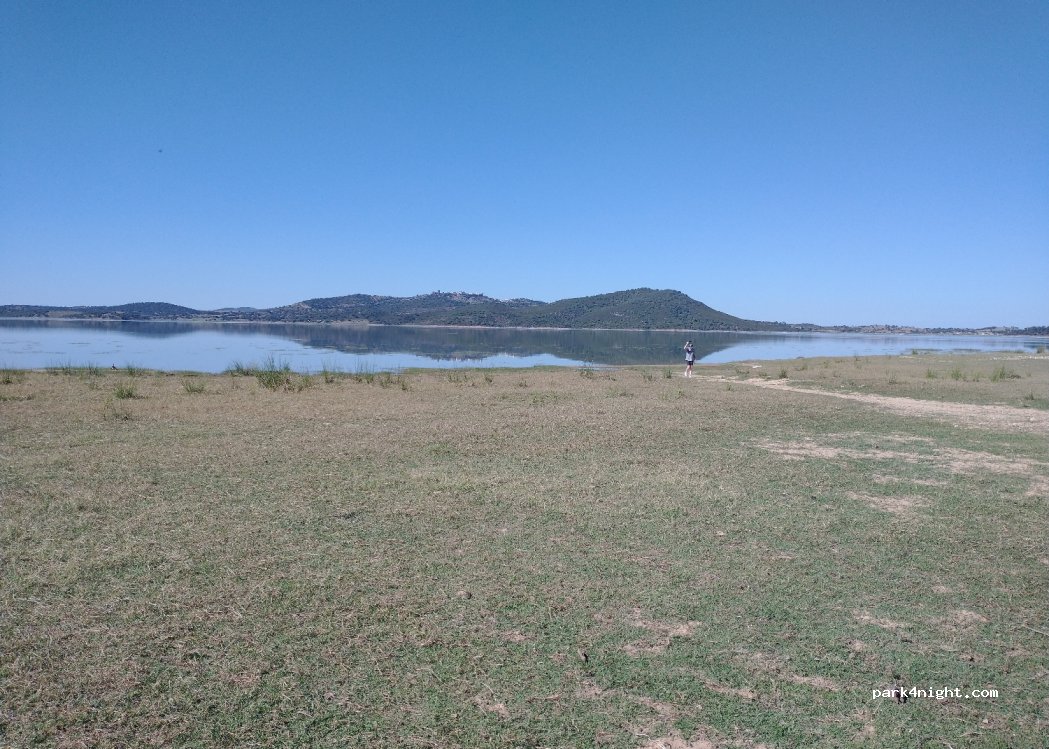 (7240) Mourão - N256 — foto
