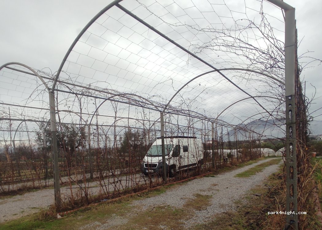 Mrizi i Zanave Agroturizëm — foto 4