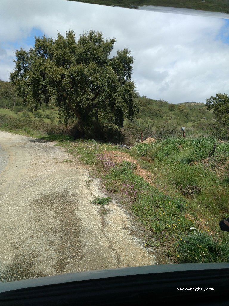 (06510) Alburquerque - EX-110 — foto