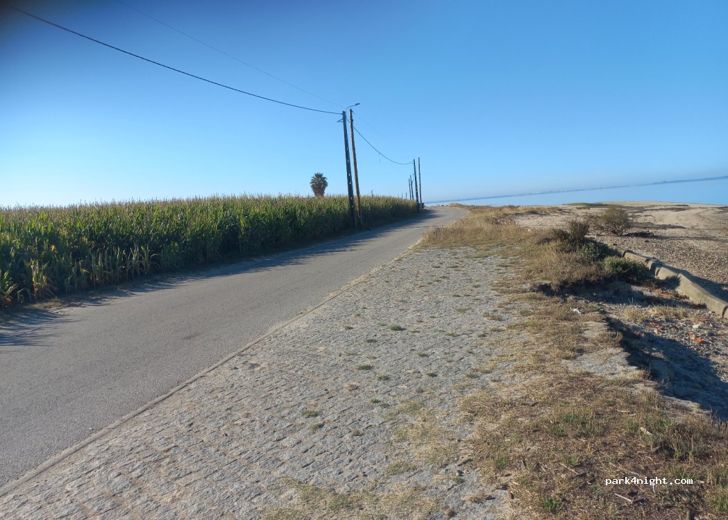 (3870) Murtosa - 210 EM1388 — foto 4