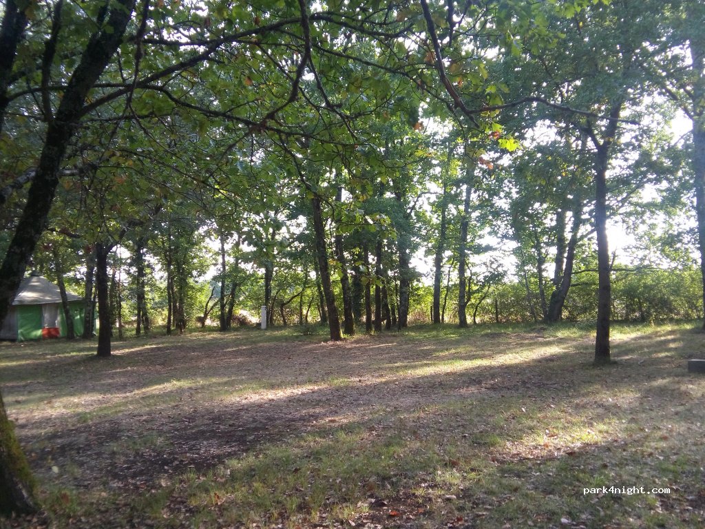 Crinière au Vent — foto 2
