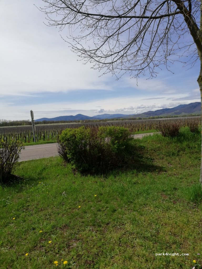 (68630) Bennwihr - D4 — foto 2