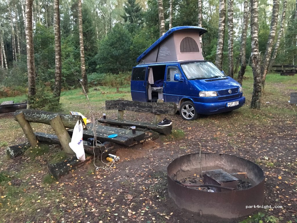 () Beržynėlis (birchwood) - Plateliai — foto