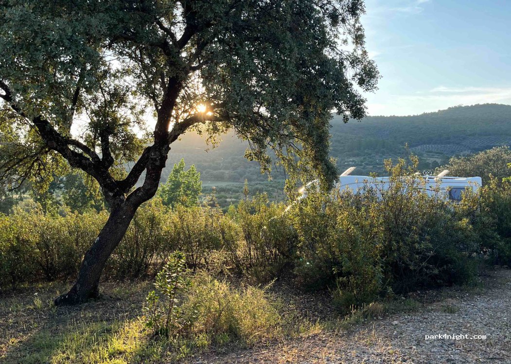 La Tierra Verde — foto 3
