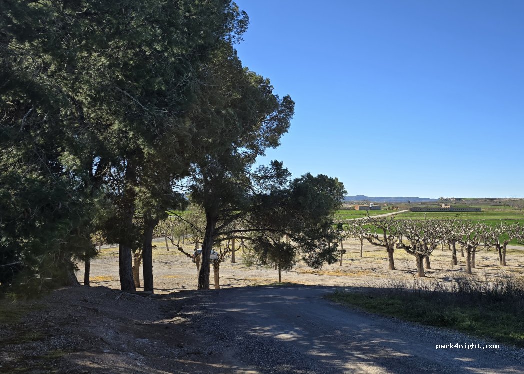 (25140) Arbeca - Unnamed Road — foto 3