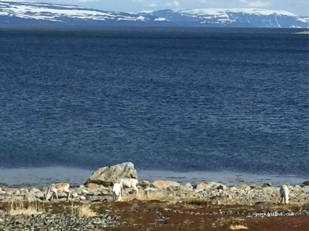 (9740) - 3 Sekundær Fylkesvei 98 — foto 2