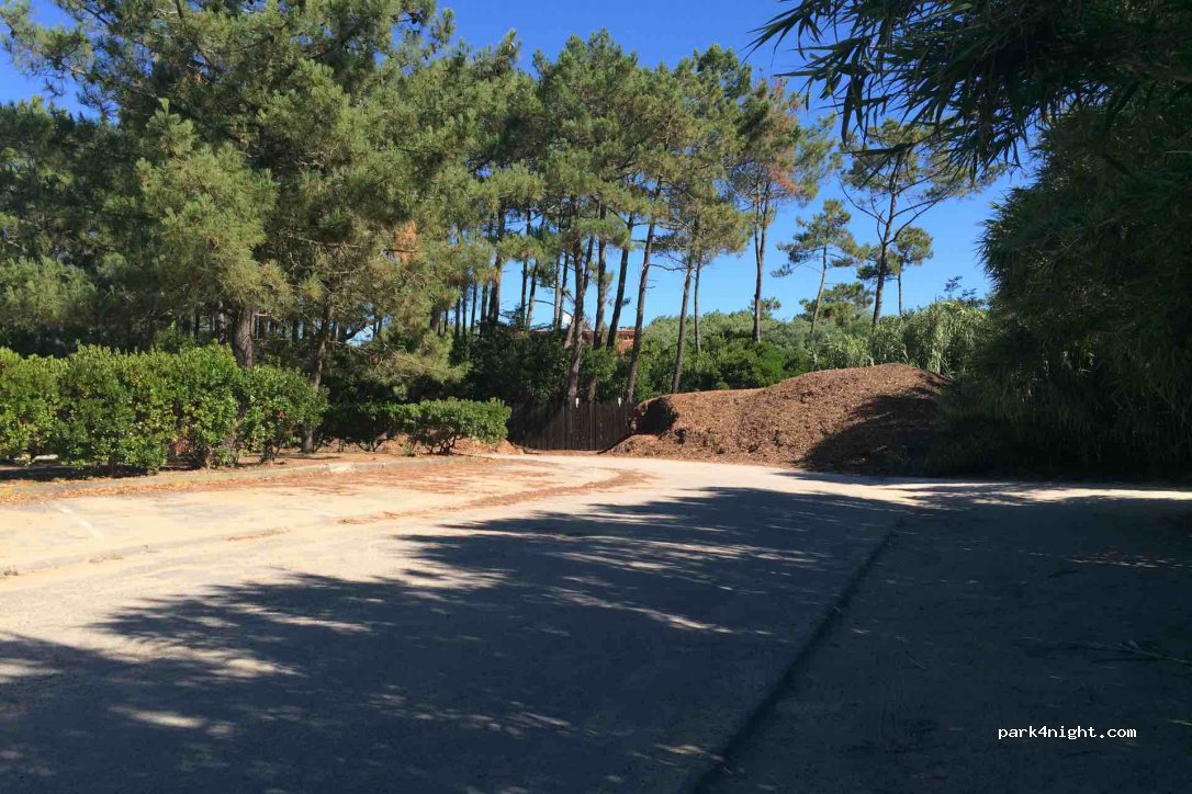(33970) Lège-Cap-Ferret - Avenue Est — foto