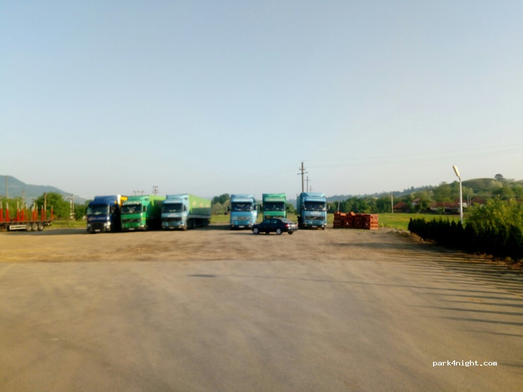 (317160) Hălmagiu - Strada Calea Moţilor — foto 3