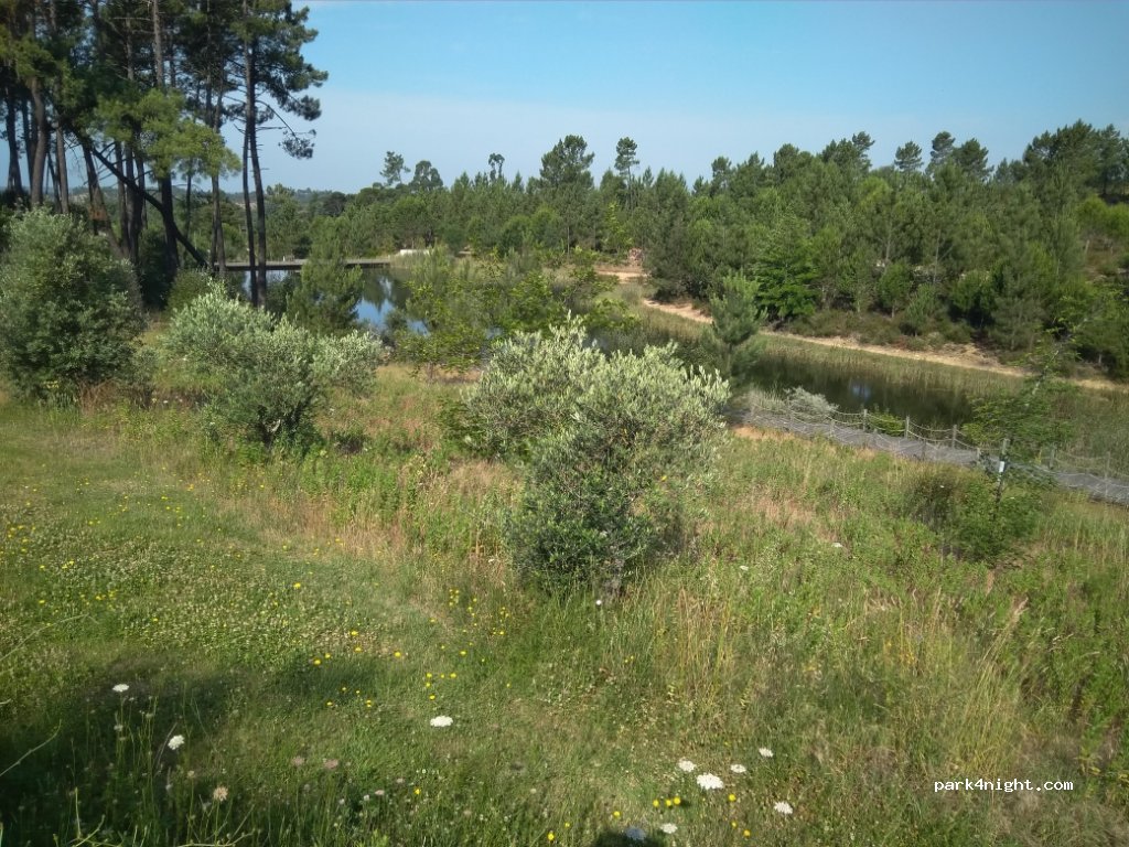 (2200) Abrantes - Parque de Abrantes — foto 2