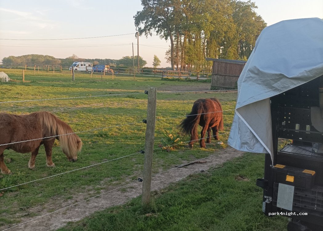 ANNOUV'EQUID — foto 4