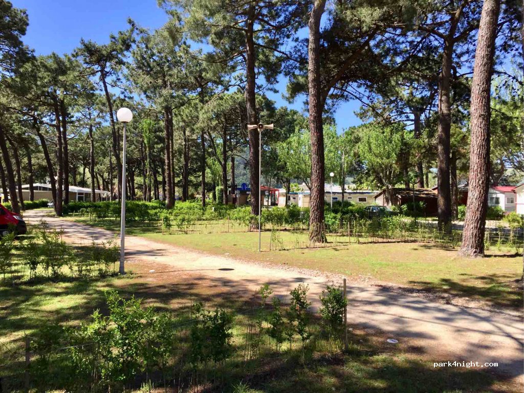 Camping Baiona Praia — foto 2