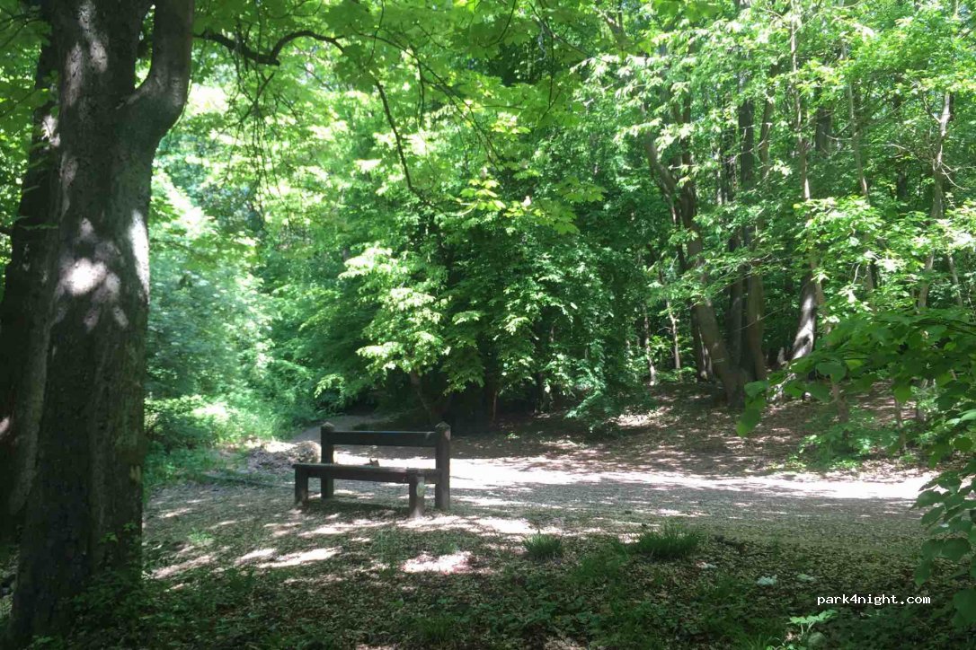 (95390) Saint-Prix - Chemin de Madame — foto