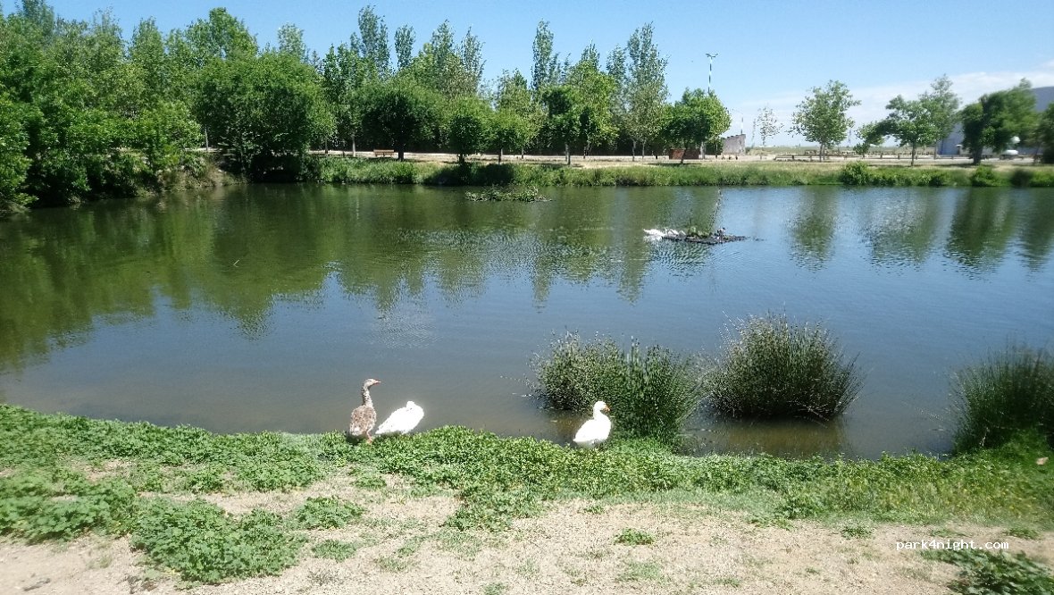 (10100) Miajadas - EX-106 — foto 3