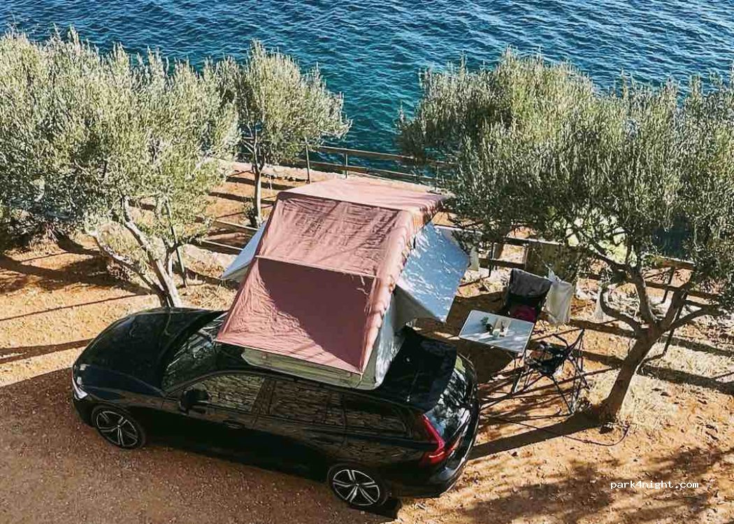 Camp Stine — foto