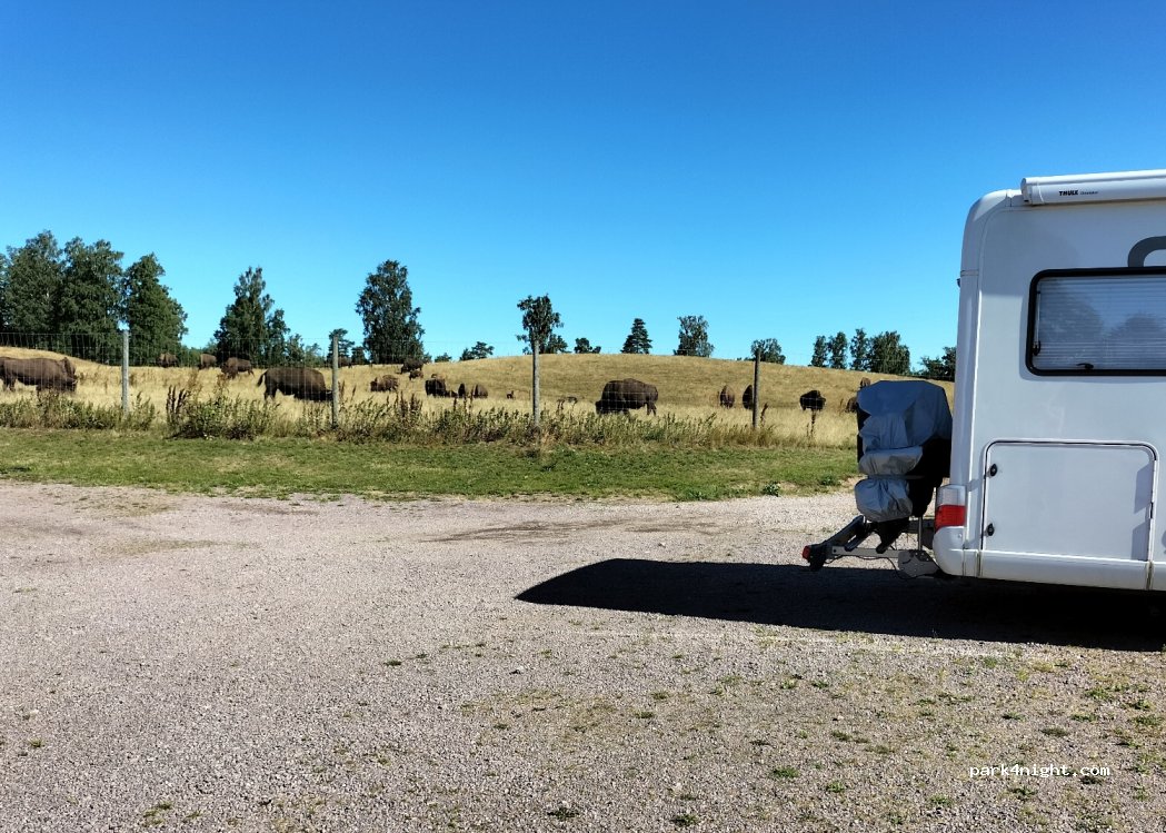 Ställplats bisonfarmen — foto 2