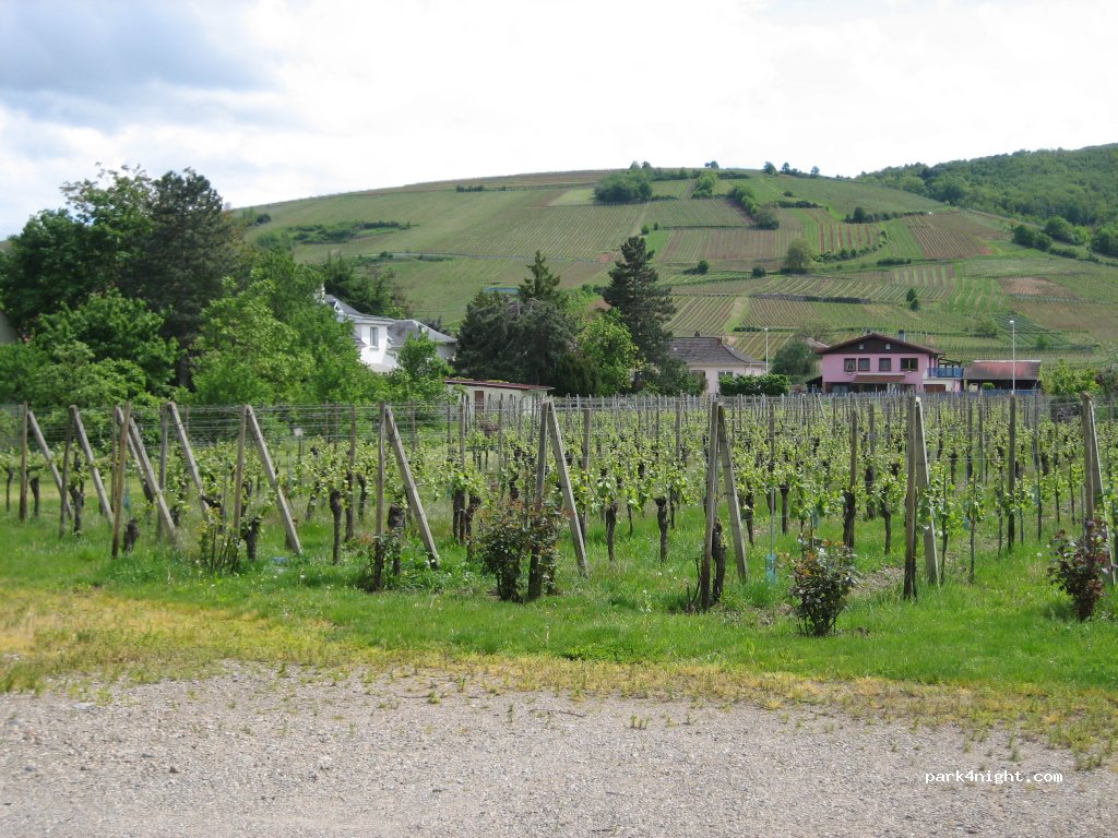 Domaine Schaffar Joseph — foto