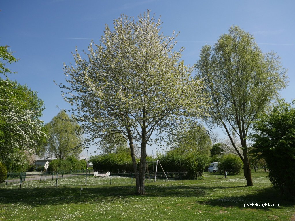 Camping des Cygnes — foto 3