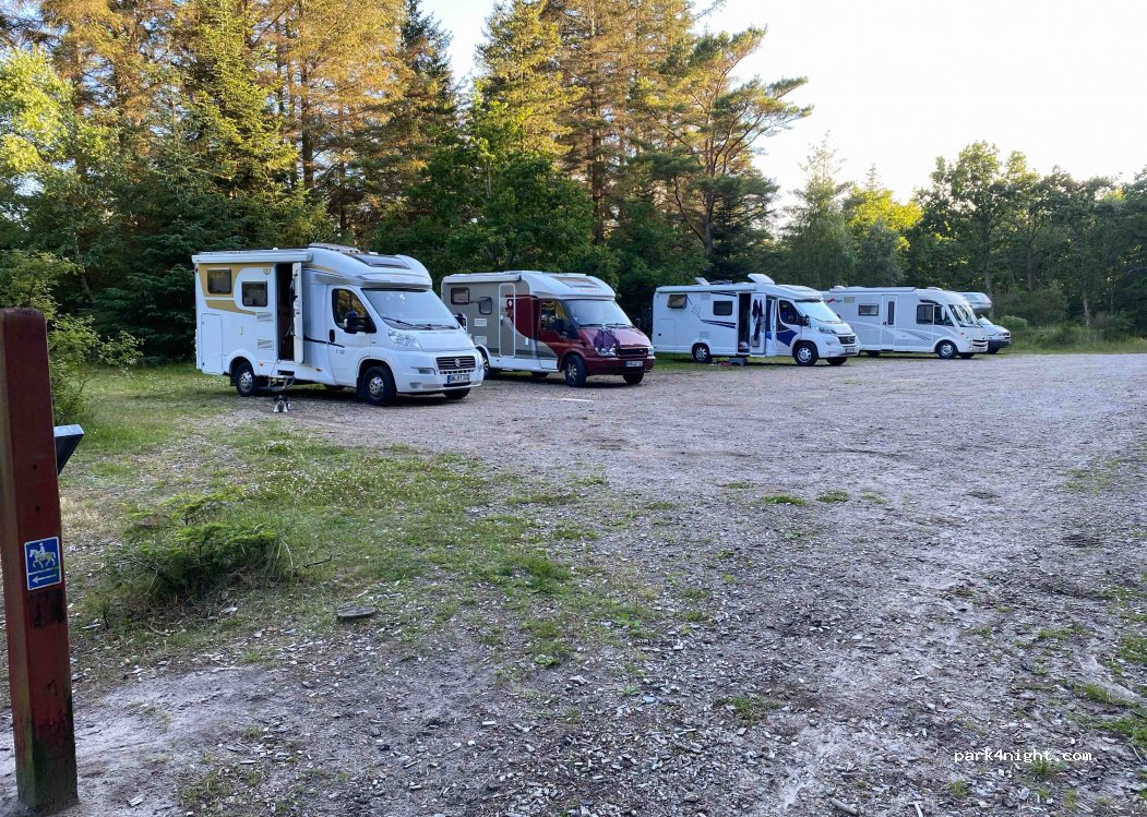 (9881) Bindslev - Plantørvej — foto 3