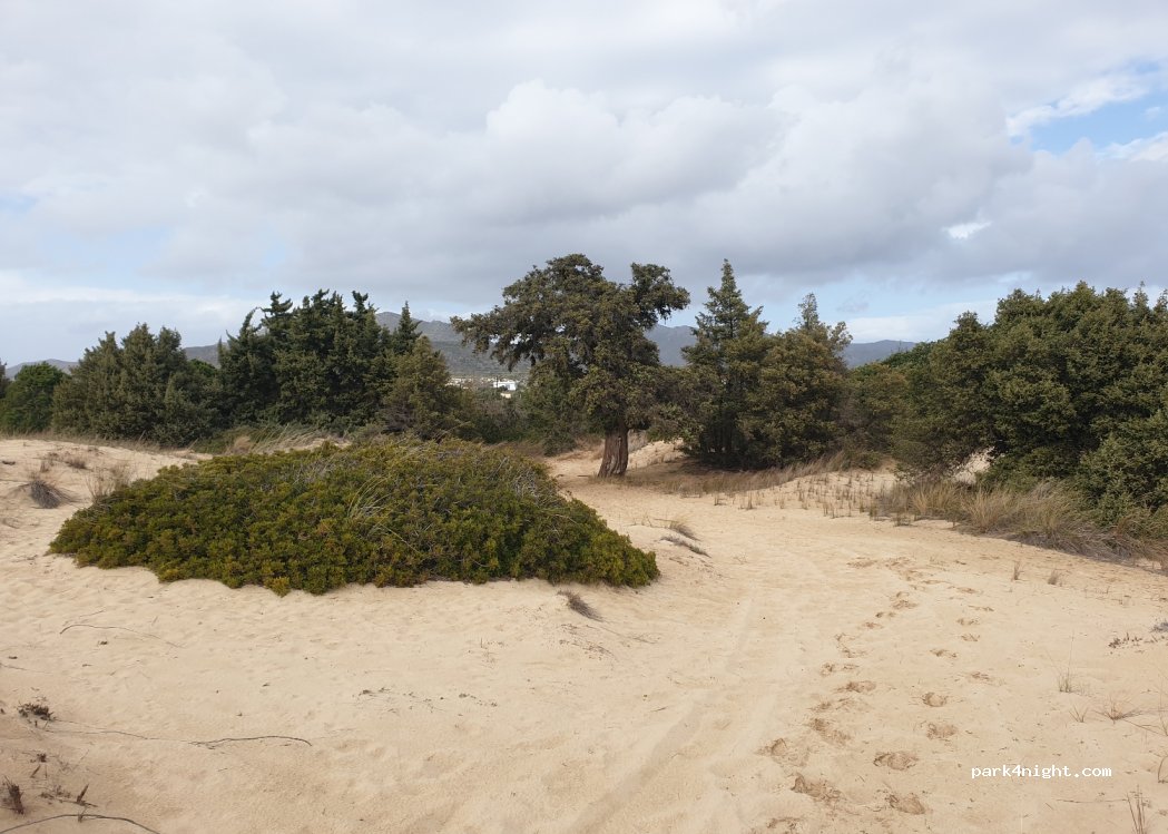 (230 53) Pounta  - Unnamed Road — foto 2