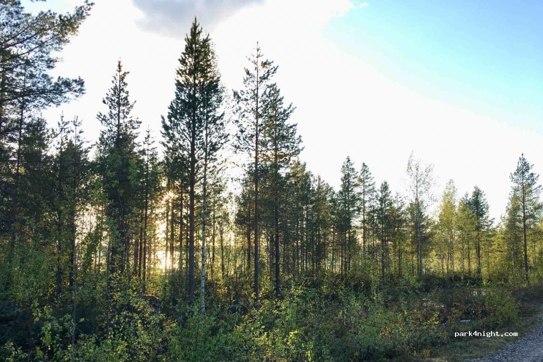 (98450) Tohmo - Unnamed Road — foto