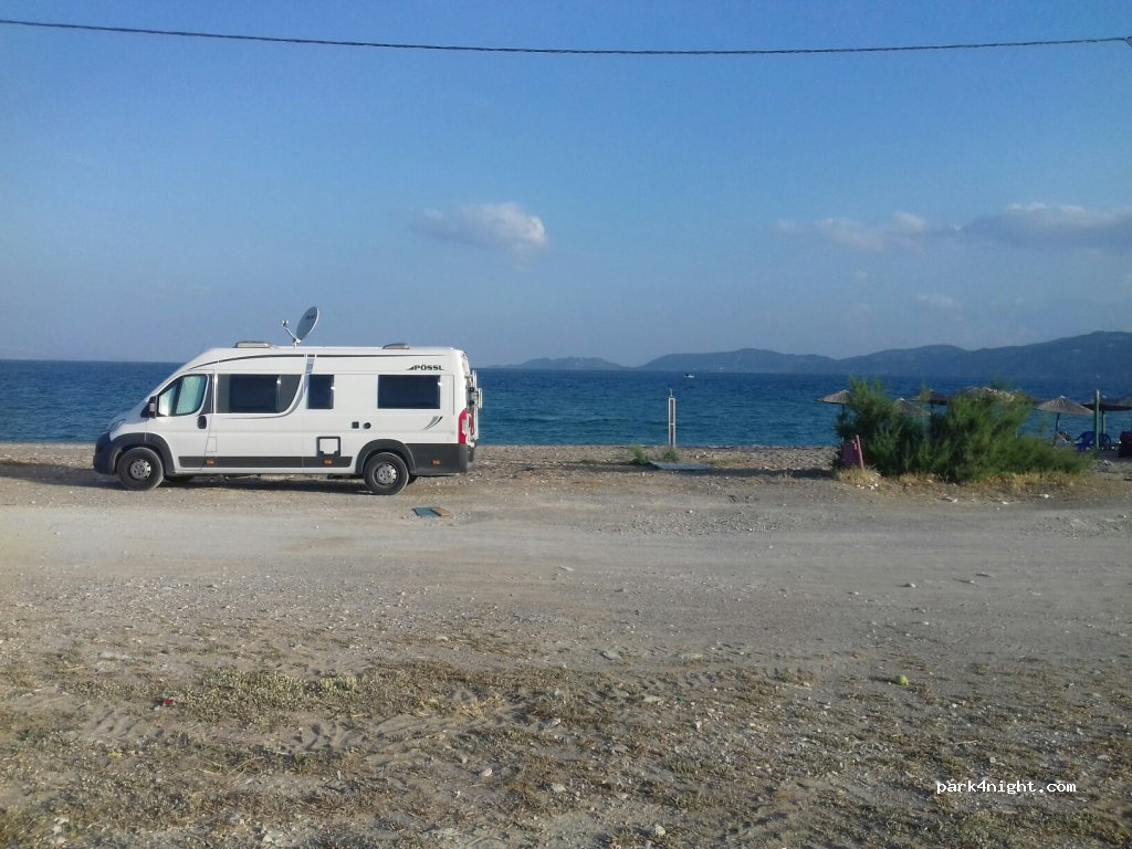 (201 00) Posidonia - Posidonias — foto
