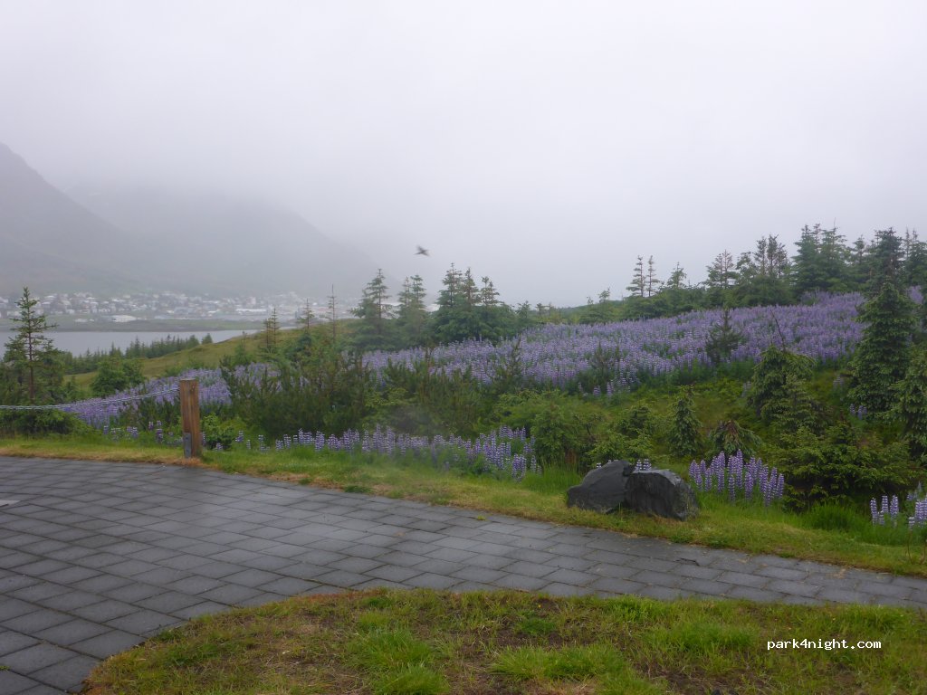 Siglufjarðarvegur — foto