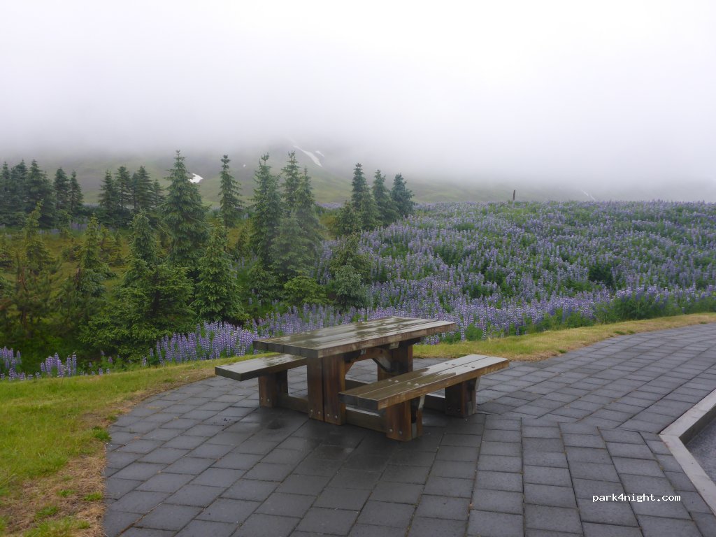 Siglufjarðarvegur — foto 2