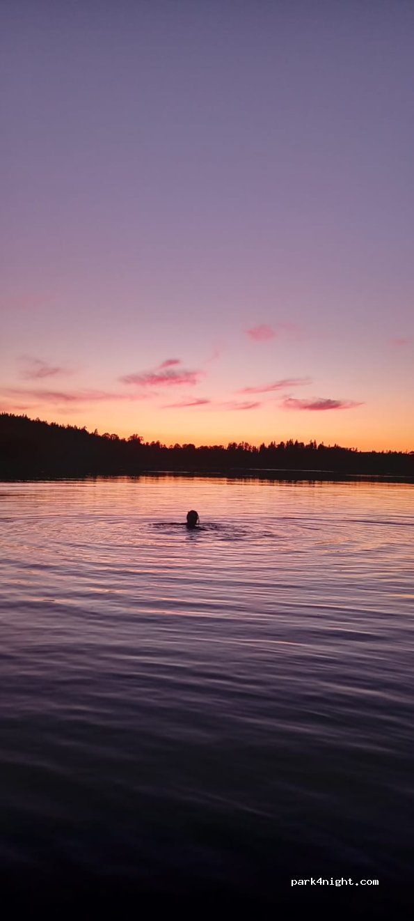 Movänta Camping — foto 3