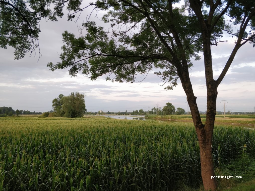 (89155) Erbach - 11 Im Ried — foto 4